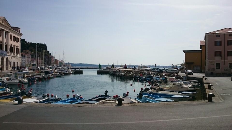 Dom Mladinske Knjige Fiesa Pension Piran Buitenkant foto