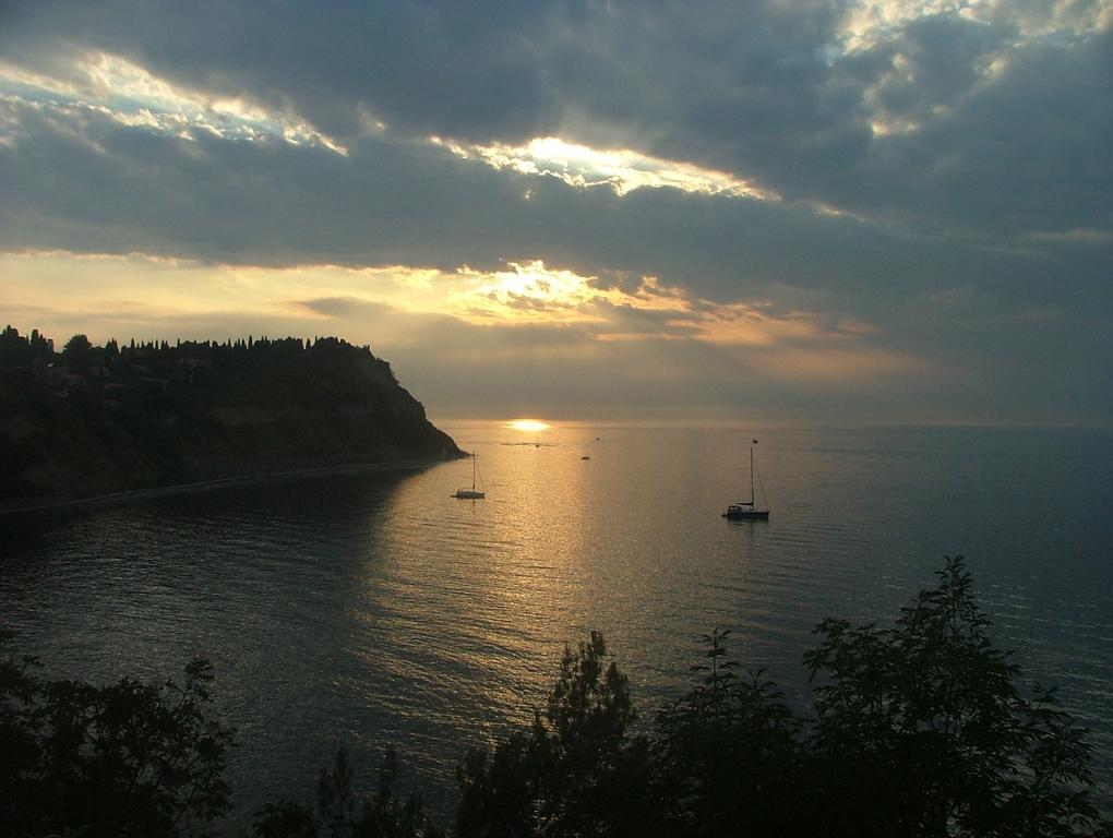 Dom Mladinske Knjige Fiesa Pension Piran Buitenkant foto