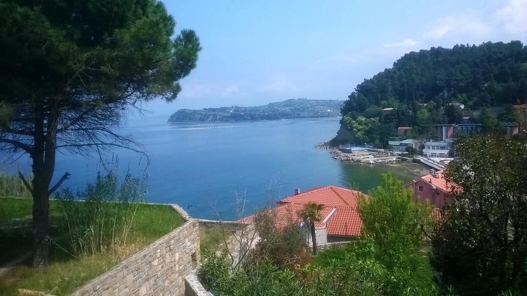 Dom Mladinske Knjige Fiesa Pension Piran Buitenkant foto